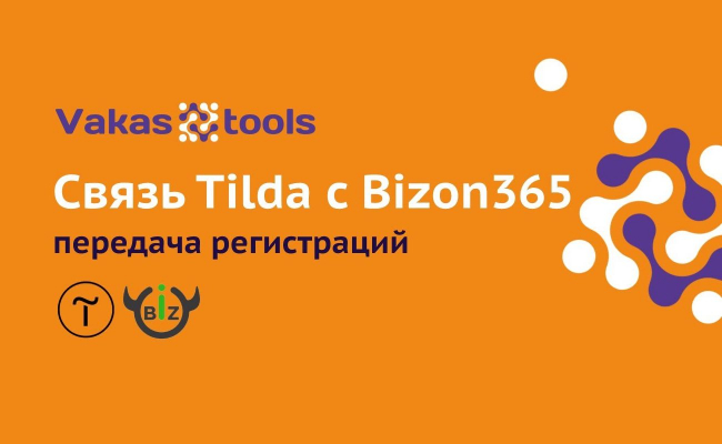Связь Tilda и Bizon365 - передача регистраций